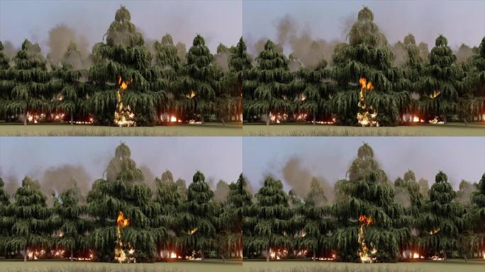 大规模森林大火森林大火树林燃烧森林失火