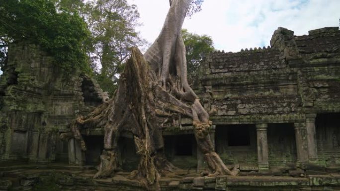 柬埔寨，暹粒，吴哥的柏汗寺废墟