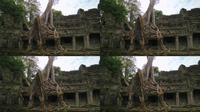 柬埔寨，暹粒，吴哥的柏汗寺废墟