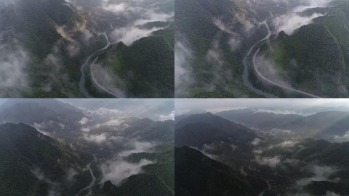 竹林在中国桂林绿水青山大山云海生态山脉