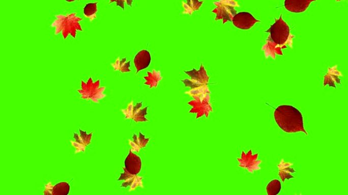 秋叶落环，绿屏色键