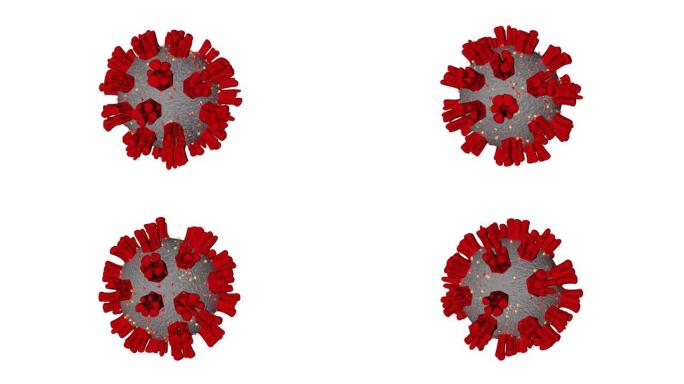 旋转和移动病毒的完美循环电晕的3d渲染
