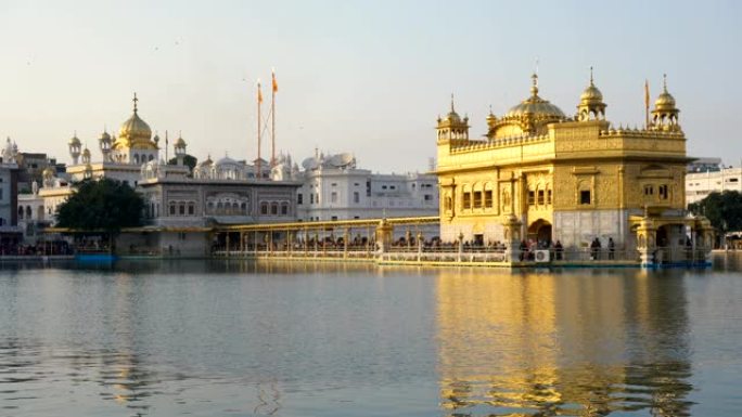 印度阿姆利则的金庙 (Harmandir Sahib) 和圣水塘