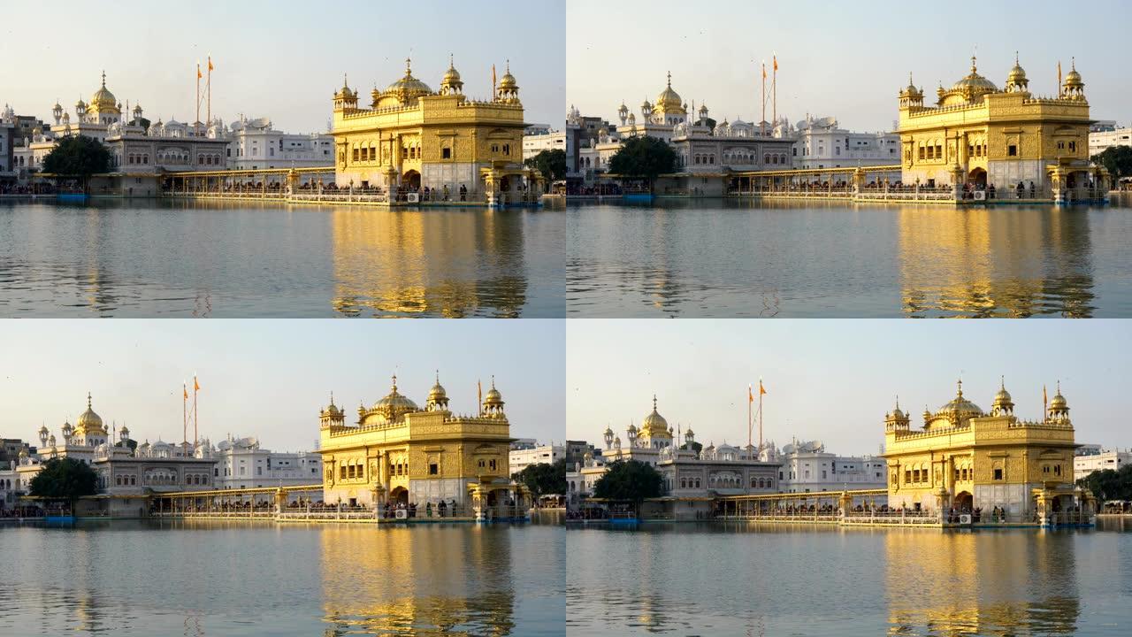 印度阿姆利则的金庙 (Harmandir Sahib) 和圣水塘