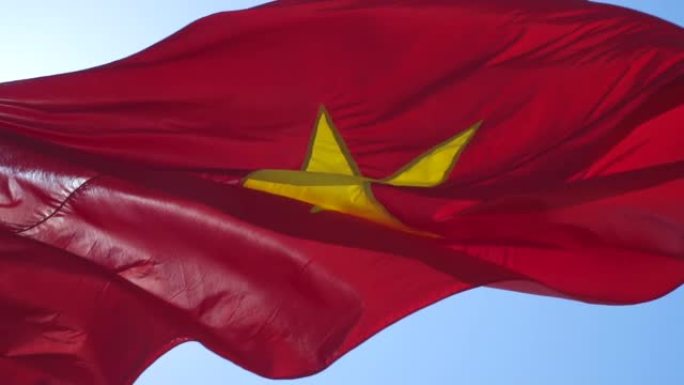 挥舞着越南国旗。越南国旗