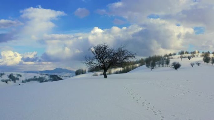 白雪皑皑山峰上的独树场景无人机视图