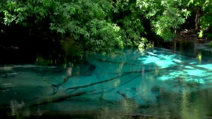 翡翠池 (Sra Morakot Blue Pool) 或泰国甲米省的Tha Pom Klong S