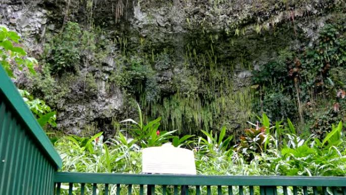 Wailua河巡游和石窟之旅带您沿着Wailua河巡游，到蕨类植物的植物之美，再加上对考艾岛Opae