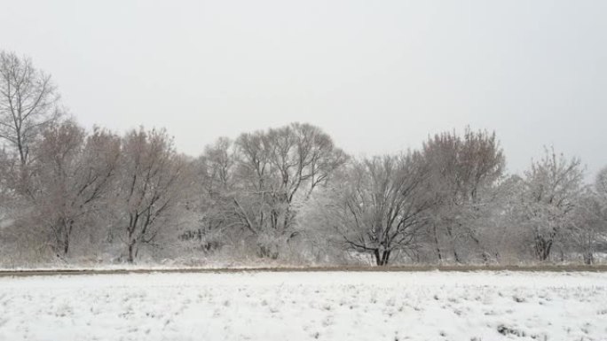 降雪。大片雪花慢慢落下。