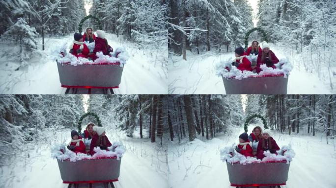 家庭快速乘坐雪林中的雪橇