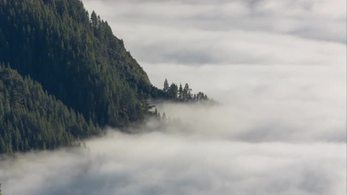 特内里费岛森林山顶云层全景延时4k西班牙