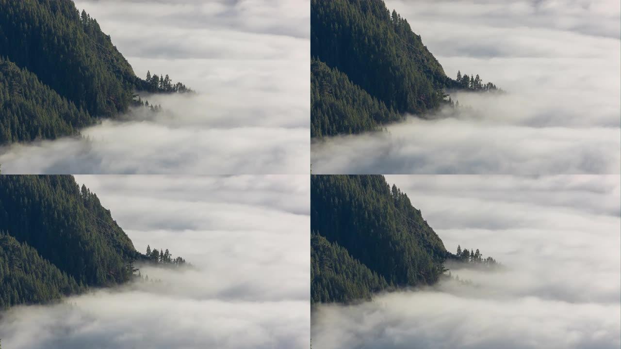 特内里费岛森林山顶云层全景延时4k西班牙