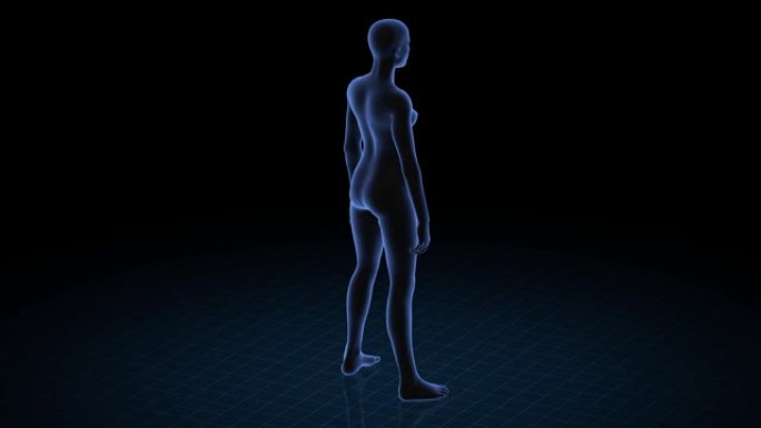 跟病理的女孩。女性的3d身体。女性人体结构的旋转动画和特写。4k镜头。