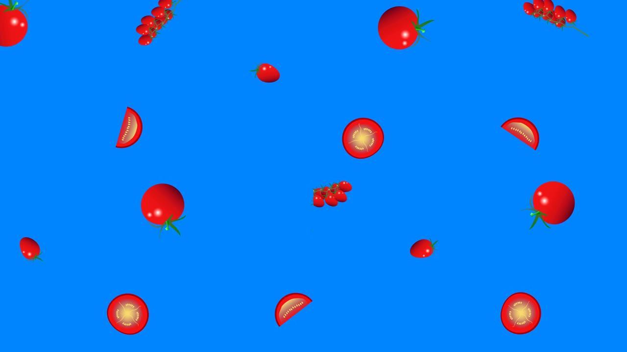 西红柿组图形元素动画，无缝循环，蓝屏色键