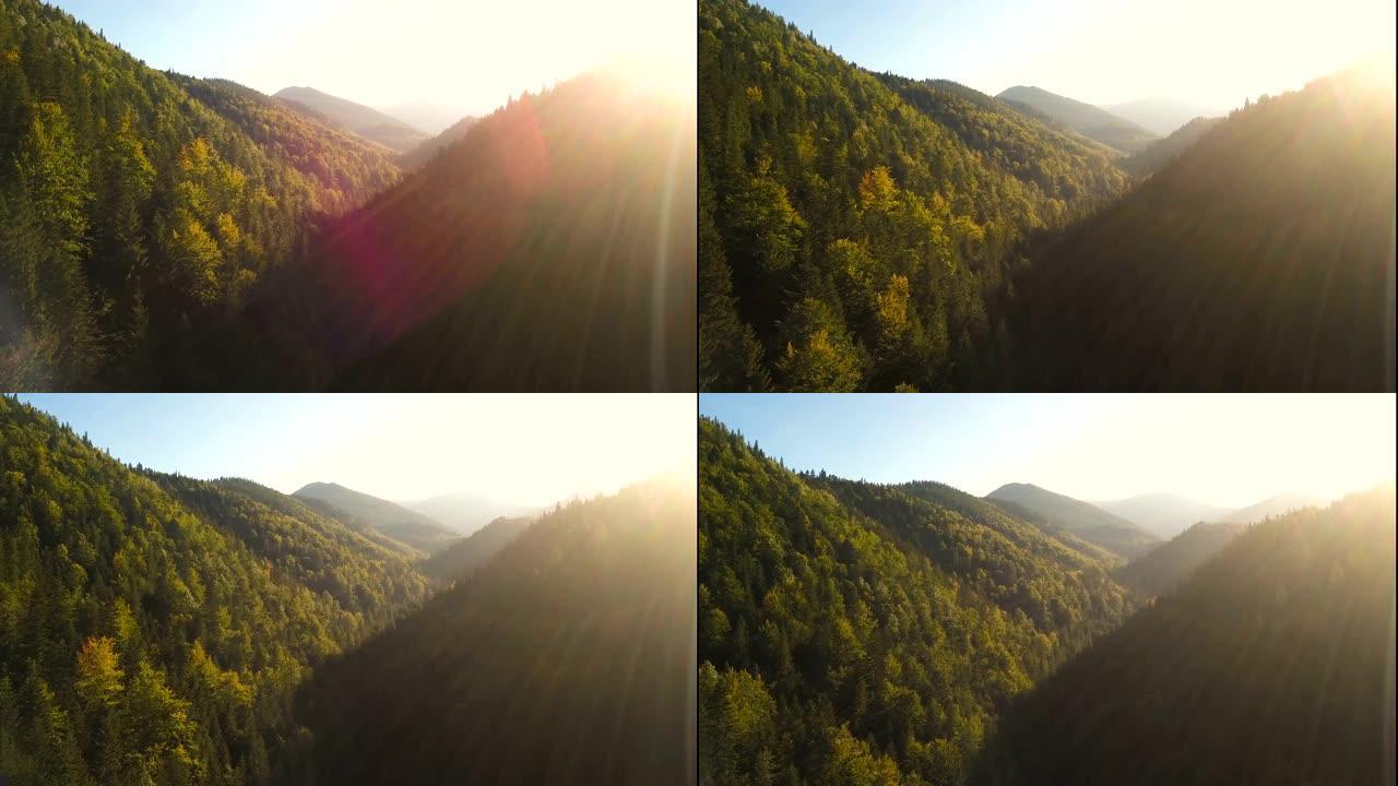 4K。空中。用阳光飞过山上的balley，木头上的山丘。大自然之美