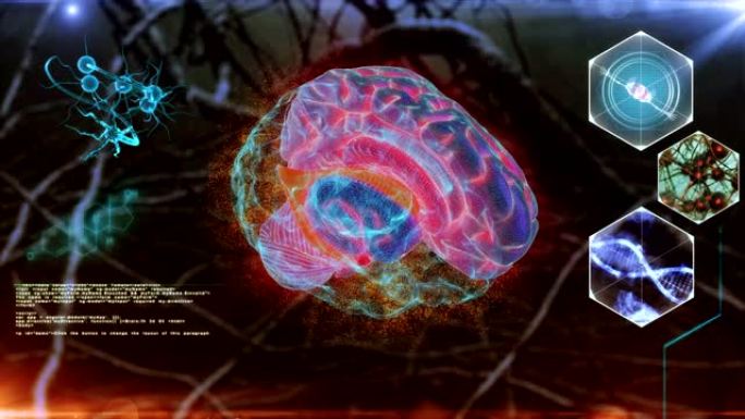 人体脑神经扫描造型立体科技