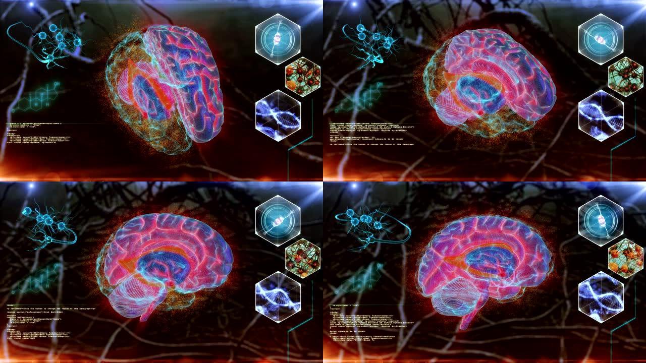 人体脑神经扫描造型立体科技
