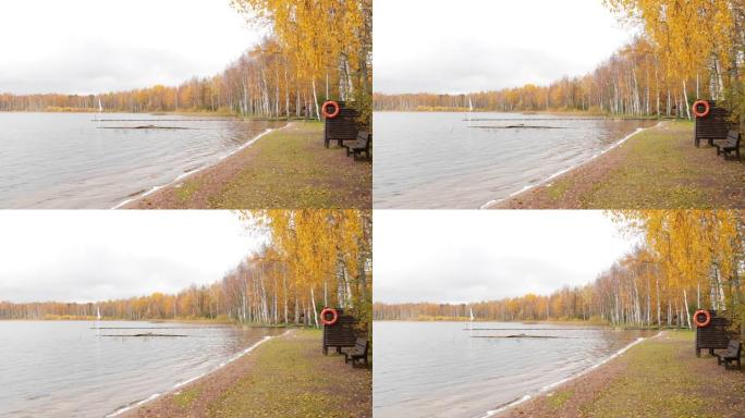 湖上的长码头，博罗耶湖的秋天，瓦尔代国家公园，俄罗斯，慢镜头视频，背景上的金色树木，木制小屋，多云的