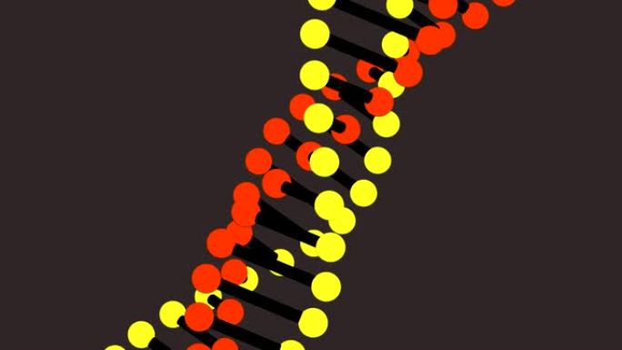 黄色背景上两个DNA菌株图标在粉红色圆圈中旋转的动画