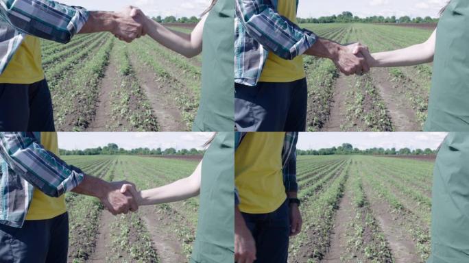 交易开始了。两个农民在农田背景上握手。达成互惠互利的协议。商务休闲问候握手。