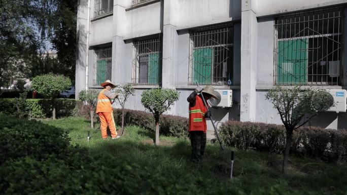 环卫 除草 修剪 绿化 卫生