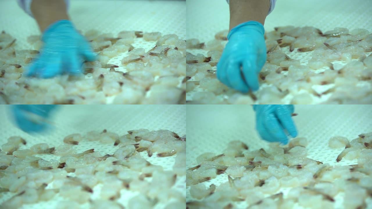 用于在有雾的冷冻柜中生产冷冻虾的虾