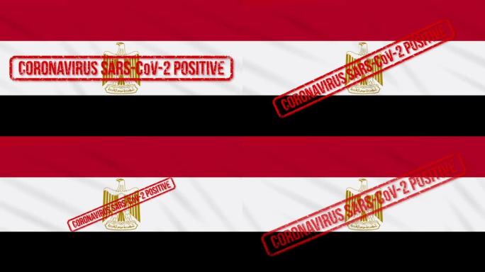 埃及摇摆着国旗，上面印着积极应对COVID-19的字样，循环