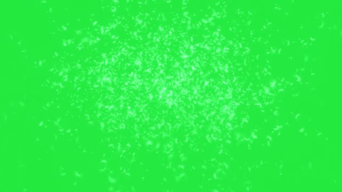 动画-绿色屏幕上的蒲公英种子在太空中飞行