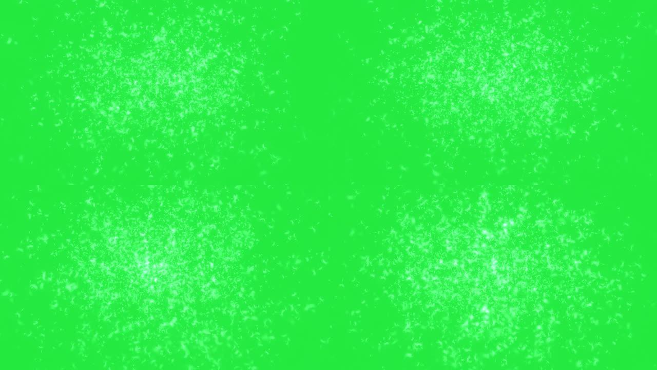 动画-绿色屏幕上的蒲公英种子在太空中飞行