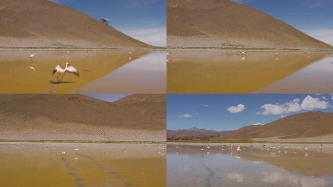 在玻利维亚南部的波尔克斯温泉进行空中射击