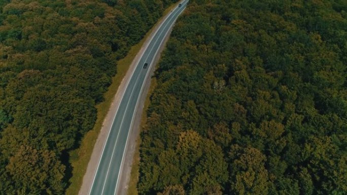 无人驾驶飞机在古老的森林道路上飞来飞去，两边茂密的树林绿树成荫。