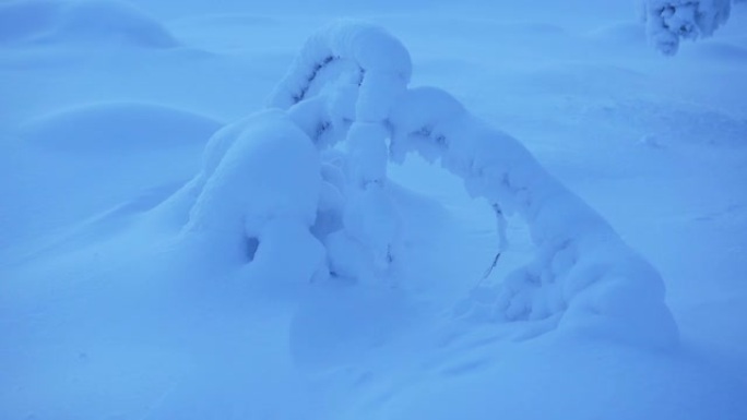 一场大雪过后，芬兰拉普兰的覆盖景观-中景