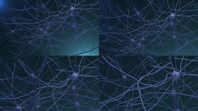 蓝色神经元微生物群