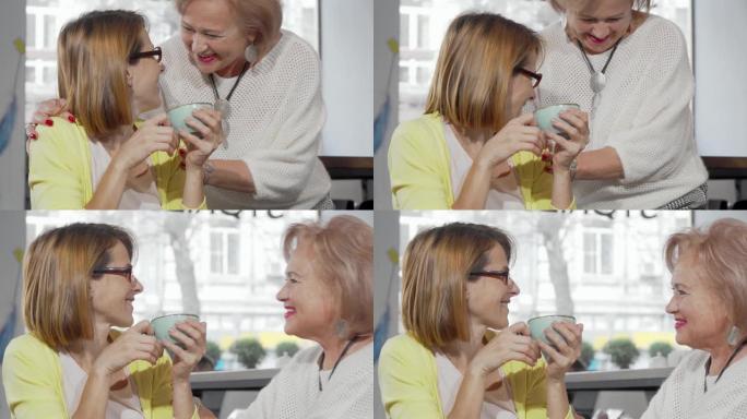 成熟的女人在咖啡店与年迈的母亲见面