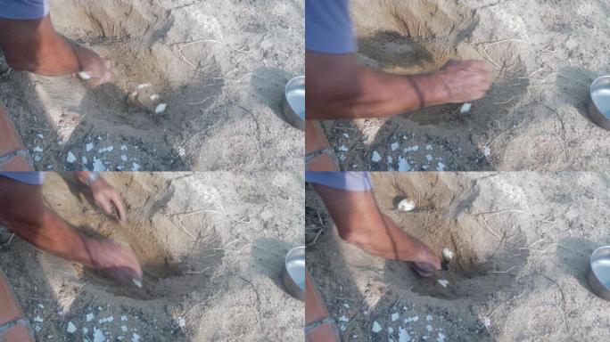 男子从洞巢中取出鳄鱼蛋，并将其放入塑料篮中