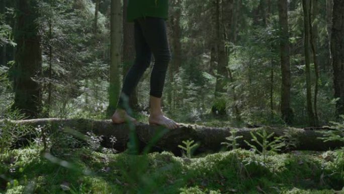 年轻女子喜欢光着脚走在森林里长满青苔的倒下的树上。