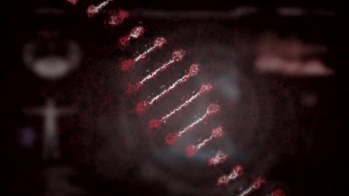 DNA菌株在人体模型上旋转的动画