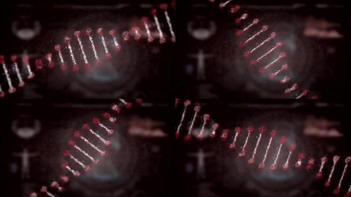 DNA菌株在人体模型上旋转的动画