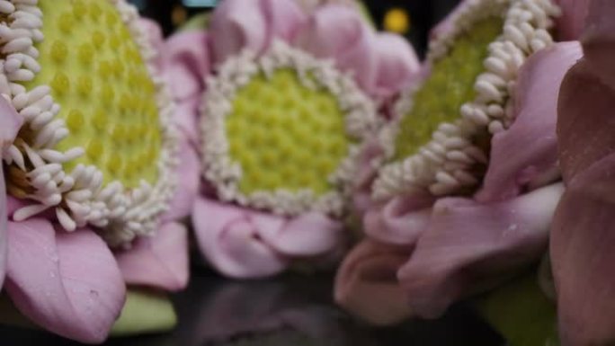 多莉微距拍摄花朵折叠花瓣莲花装饰背景副本