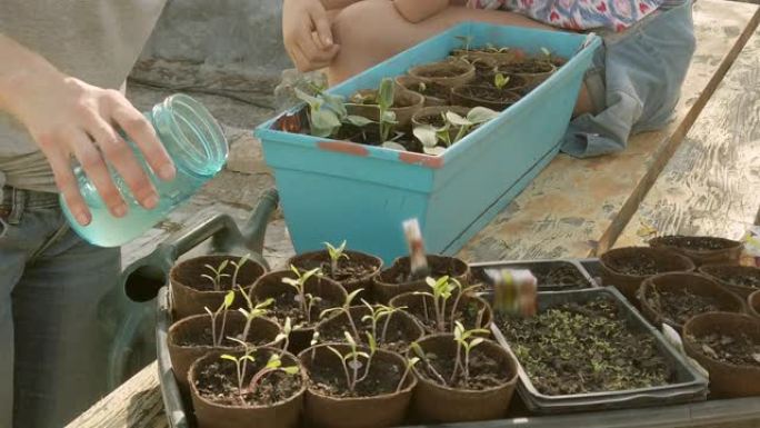 成年女性春季园艺与植物启动器在春季视频