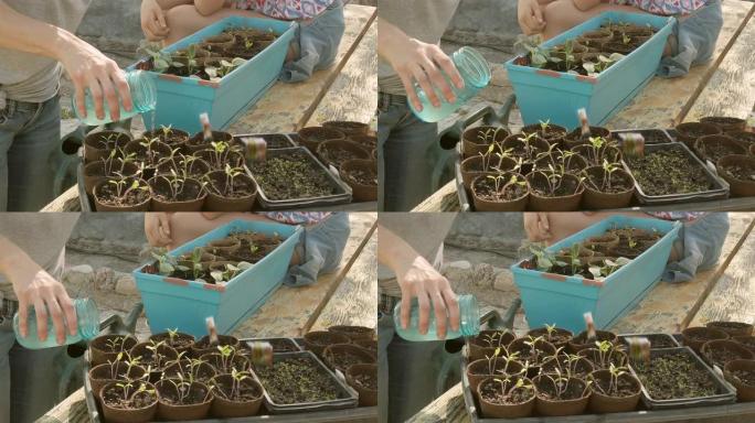 成年女性春季园艺与植物启动器在春季视频