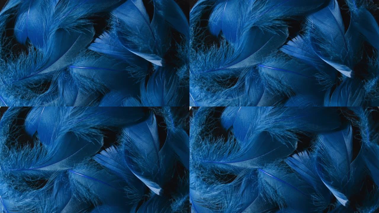 深蓝色热带鸟类羽毛的美丽旋转背景。鸟类自然图案。特写顶视图。抽象旋转镜头。