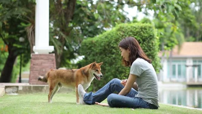年轻的女性和狗夏季概念。女孩和柴犬在后院玩耍。亚洲妇女正在教和训练狗握手打招呼。