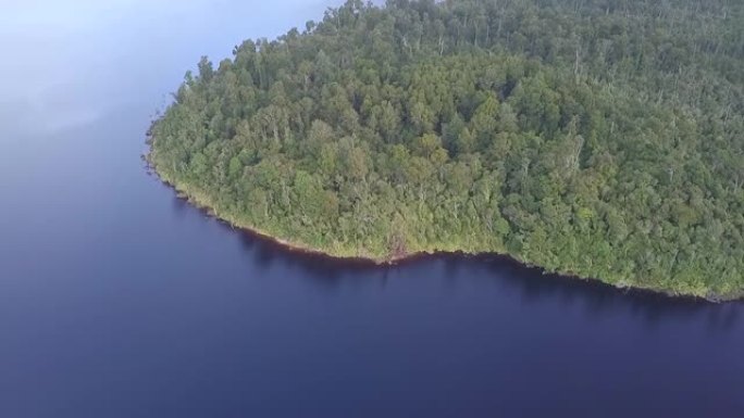 新西兰野生森林和湖泊的鸟瞰图