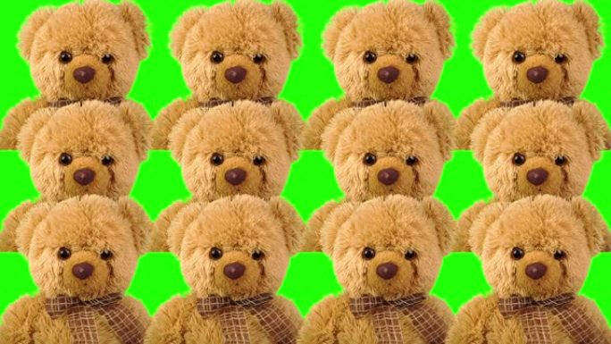 绿色背景上的泰迪熊。色度键。绿屏
