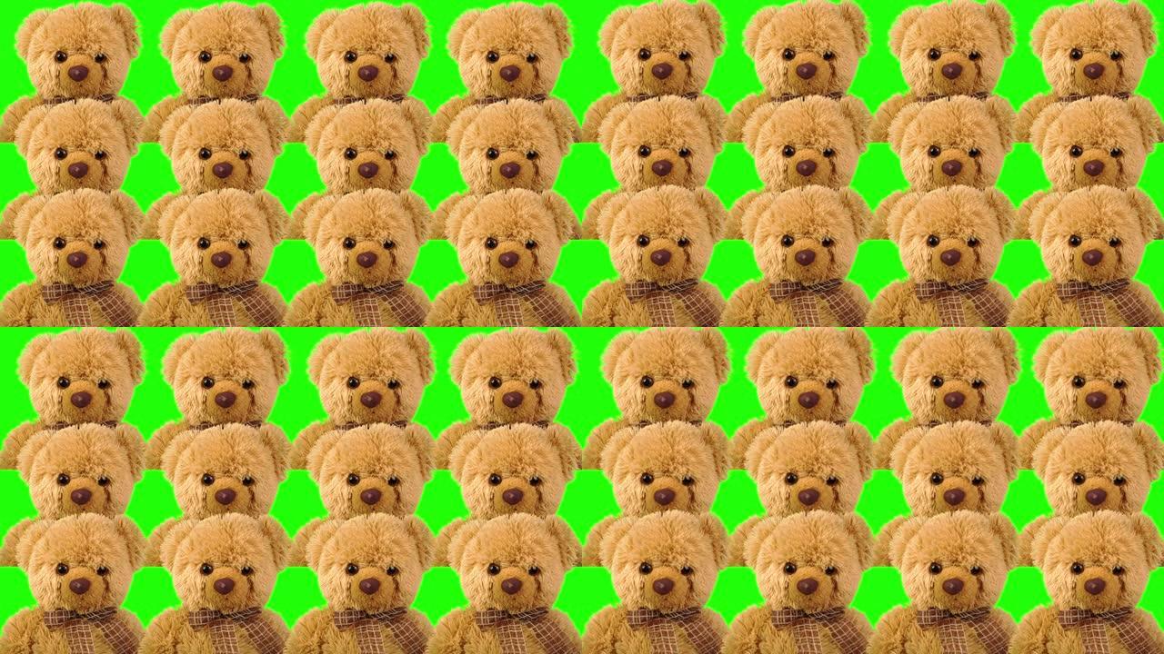 绿色背景上的泰迪熊。色度键。绿屏