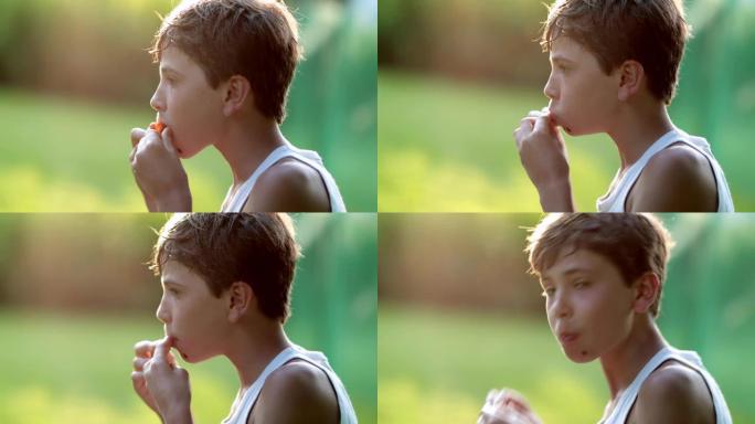 在美丽的日落黄金时段，小男孩在户外吃健康的水果零食