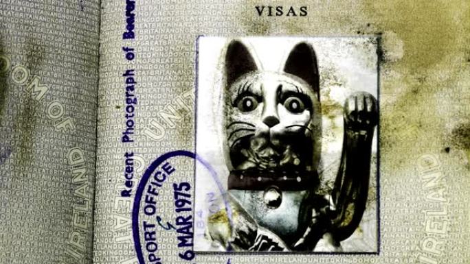 幸运猫旧护照照片