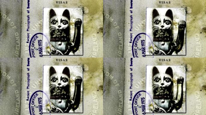 幸运猫旧护照照片