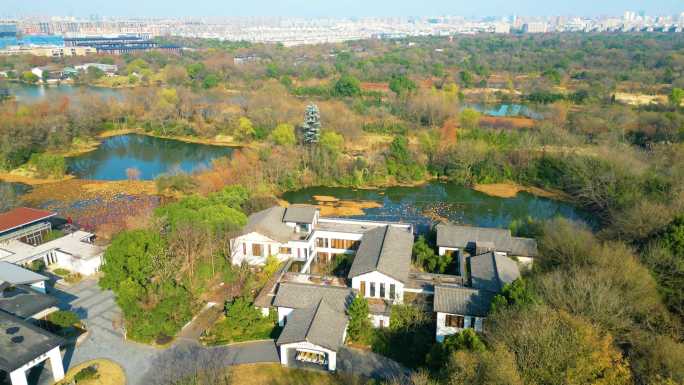 杭州西湖区西溪湿地自然风景视频素材44